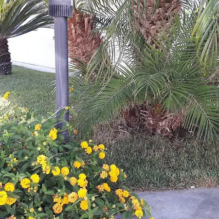 Casa Rosy